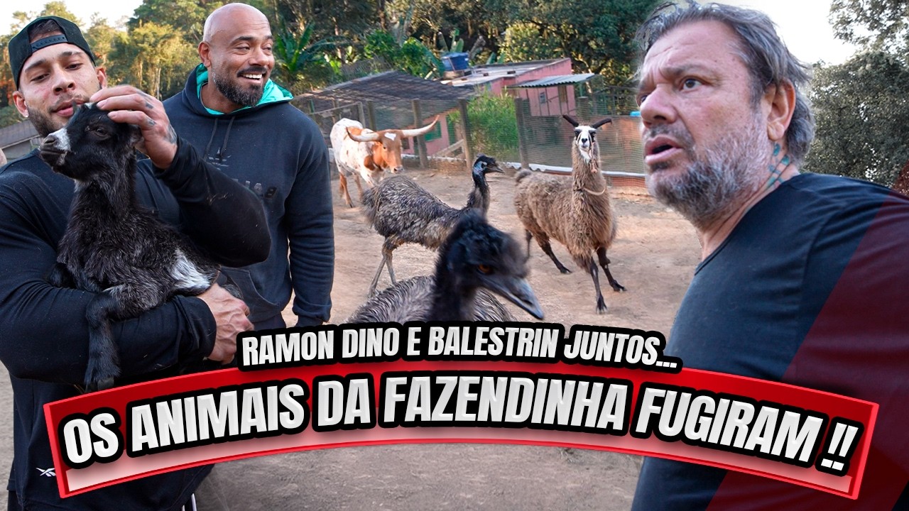 RAMON DINO E BALESTRIN INVADIRAM A FAZENDINHA - OS ANIMAIS FUGIRAM !!