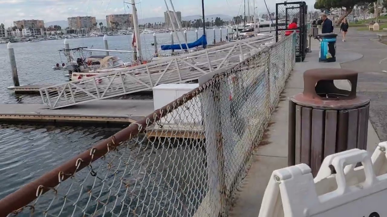 Amy Bradley Cruise Ship Kidnapping or Death? 