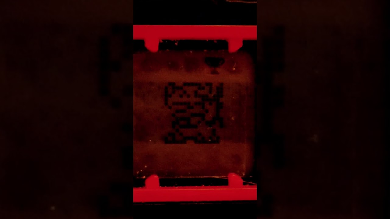 Metal Greymon X fighting 