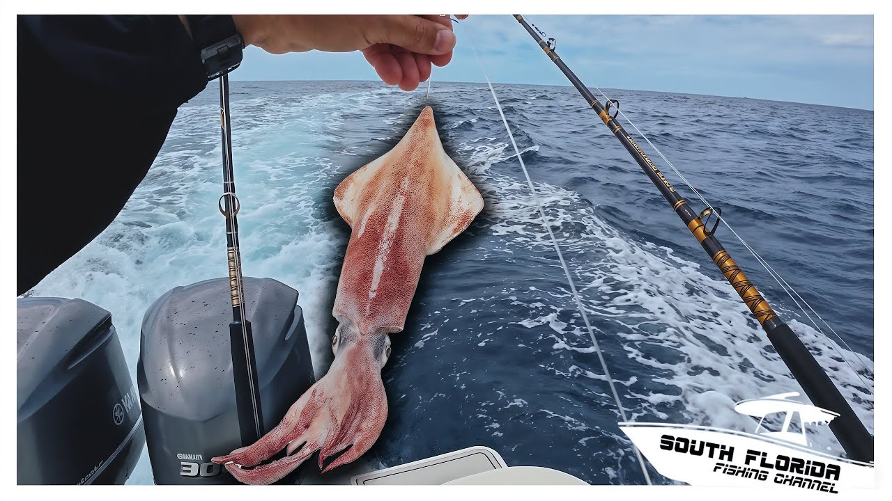 Rigging SQUID to TROLL Offshore *Fishing* {Catch Clean Cook}