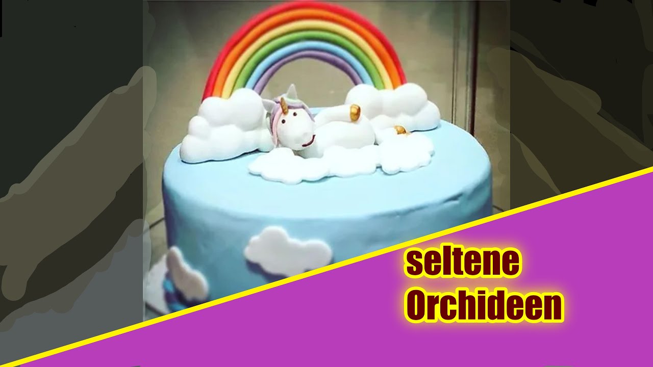 Wann? Wie? Wo? kommt man an seltene Orchideen?