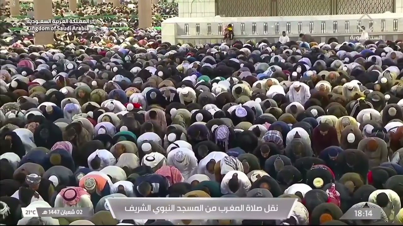 21st Jan 2026 Madeenah Maghrib Sheikh Budayr