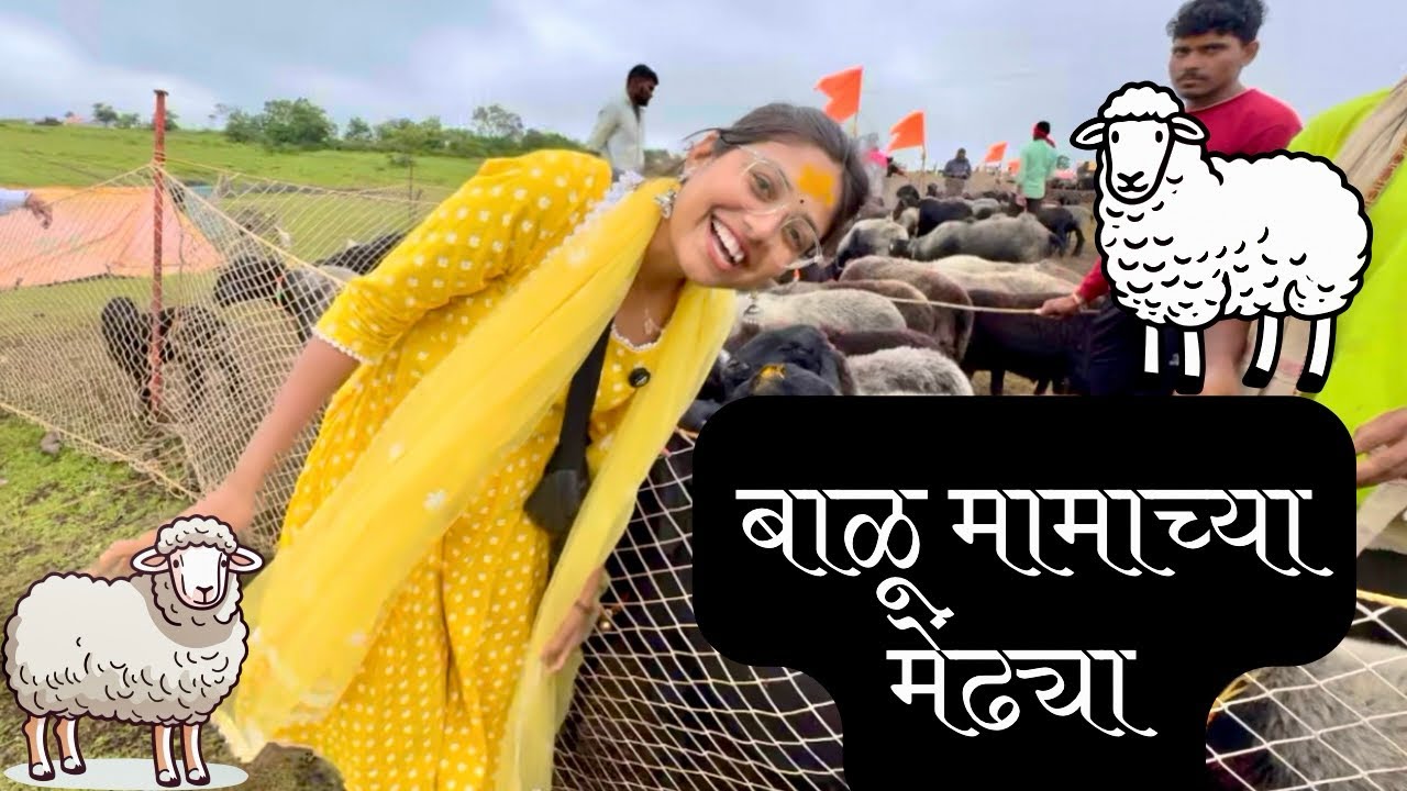बाळू मामाच्या मेंढ्यांचे स्वागत माझ्या गावात 🙏|Balumama Sheep Visit Vlog | ग्रामीण जीवनातील खास क्षण