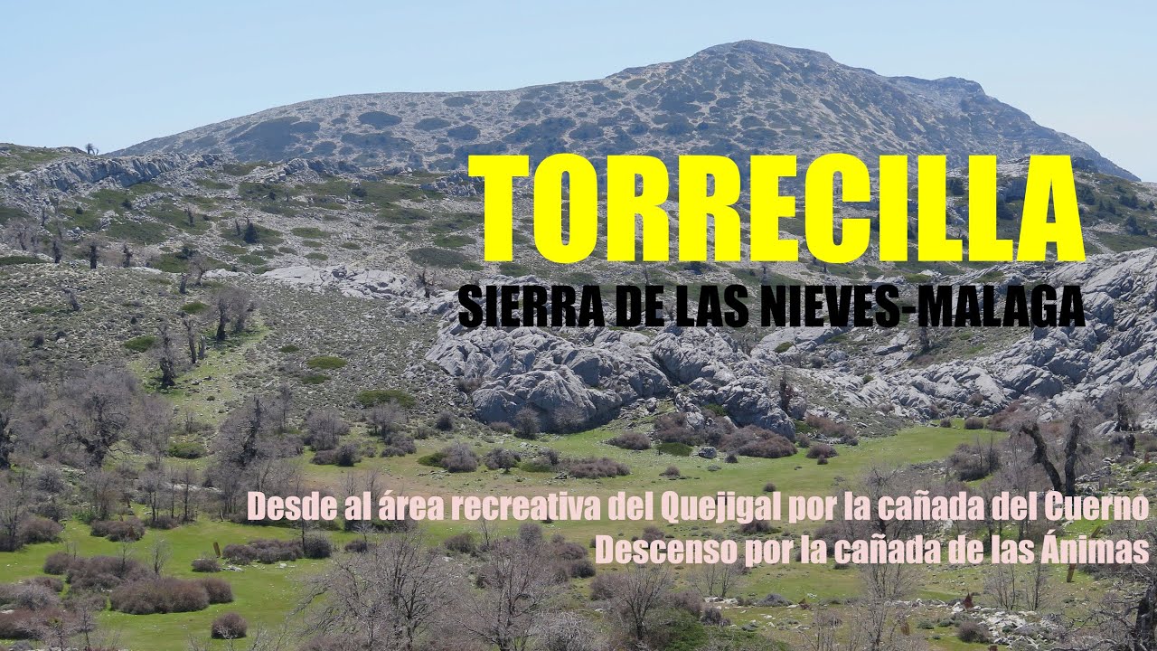 TORRECILLA | SIERRA DE LAS NIEVES-MÁLAGA