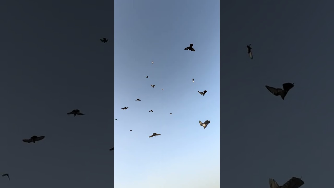 ٢١ يناير، ٢٠٢٦