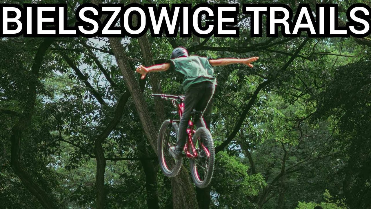 Koleje Śląskie od tyłu są... Bielszowice trails  vlok 70