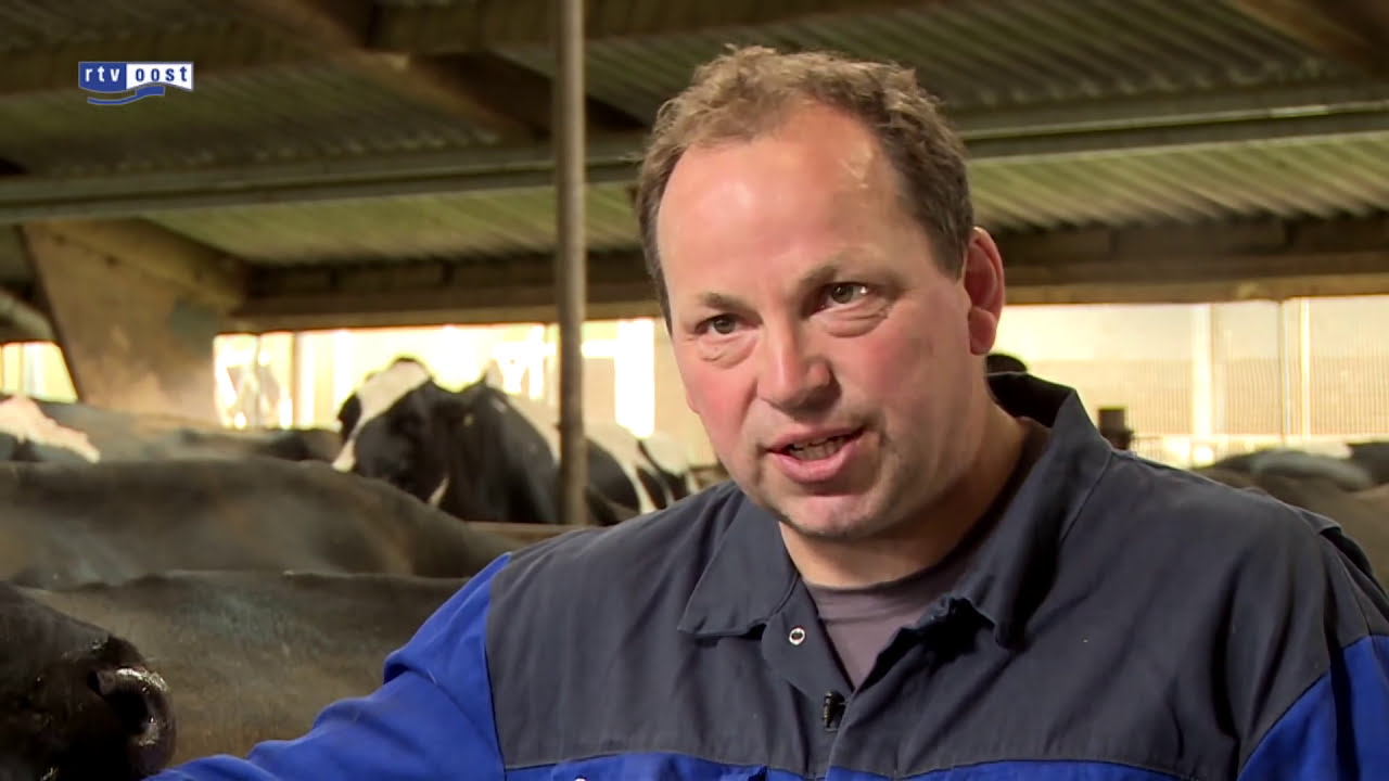 Boeren strijden al 13 jaar tegen ruimingen tijdens de MKZ-crisis | RTV Oost