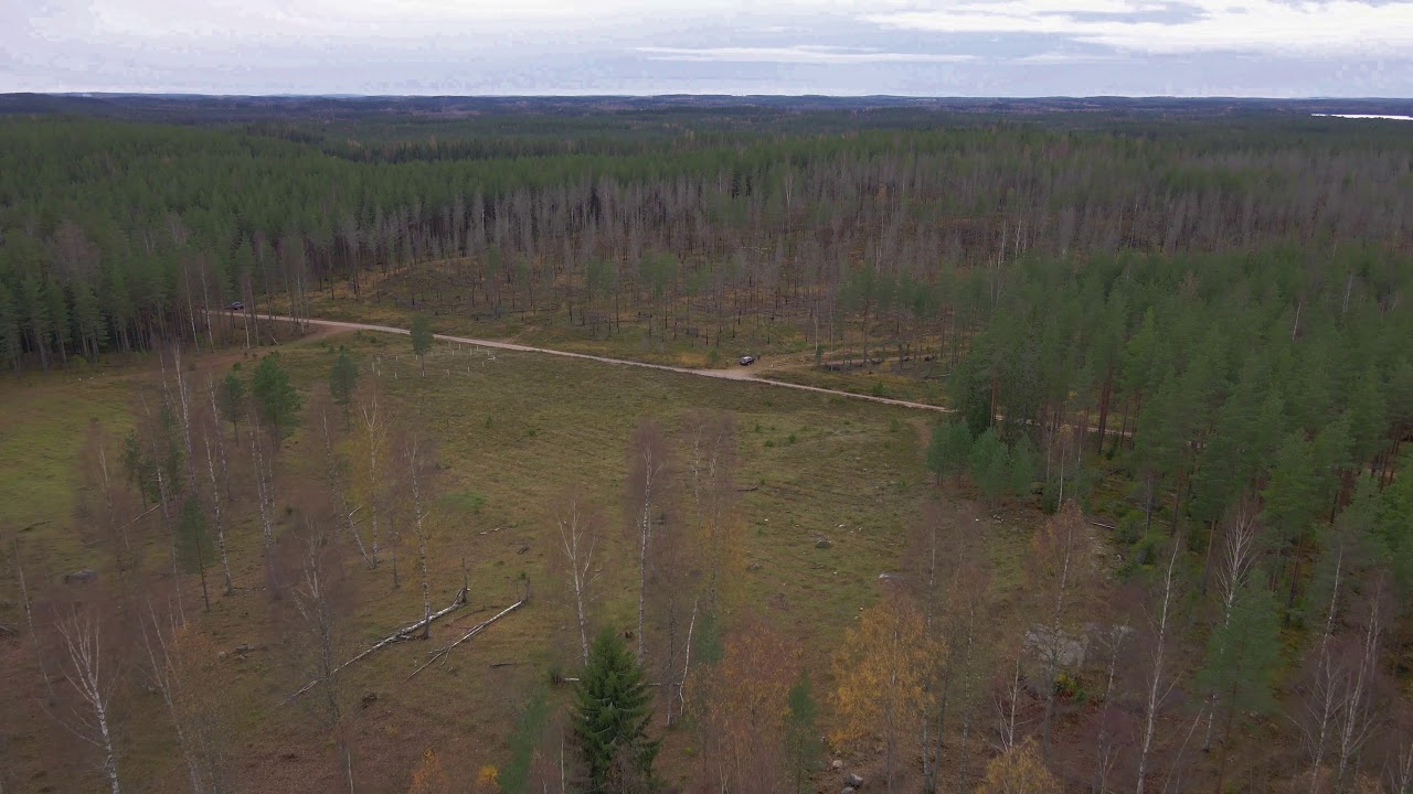 Luutaharjun samo. Komion luonnonsuojelualue, Loppi.