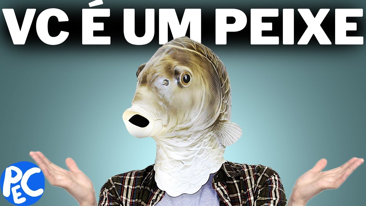 VOCÊ é um PEIXE