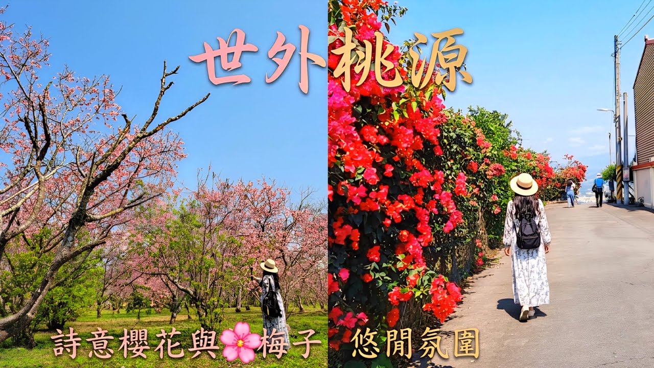 秘境中的秘境，没想到除了櫻花還有更多美景、更鮮豔的花，青脆的梅子，絕美的山谷景色，根本世外桃源~
