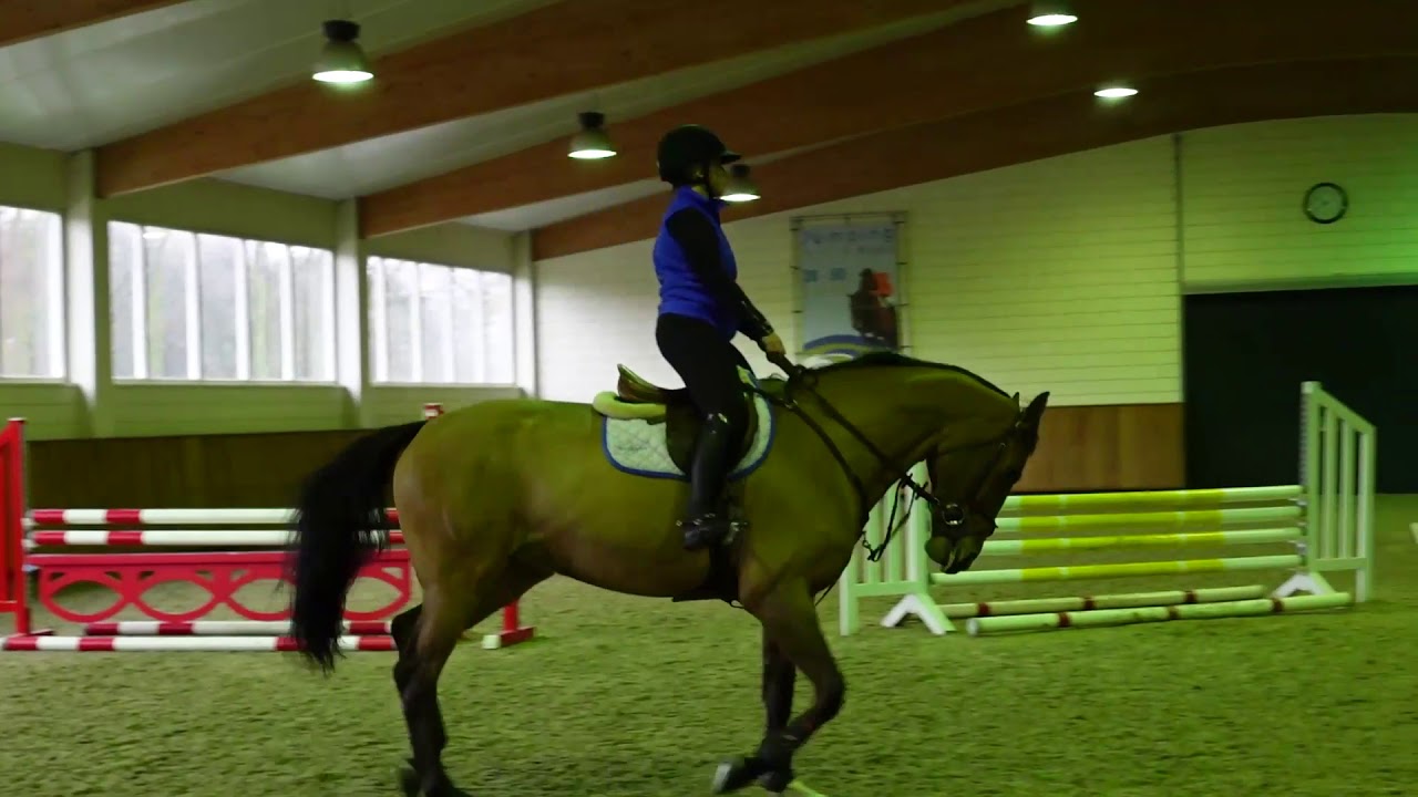 Studente Janine Maassen bij Stal Hendrix