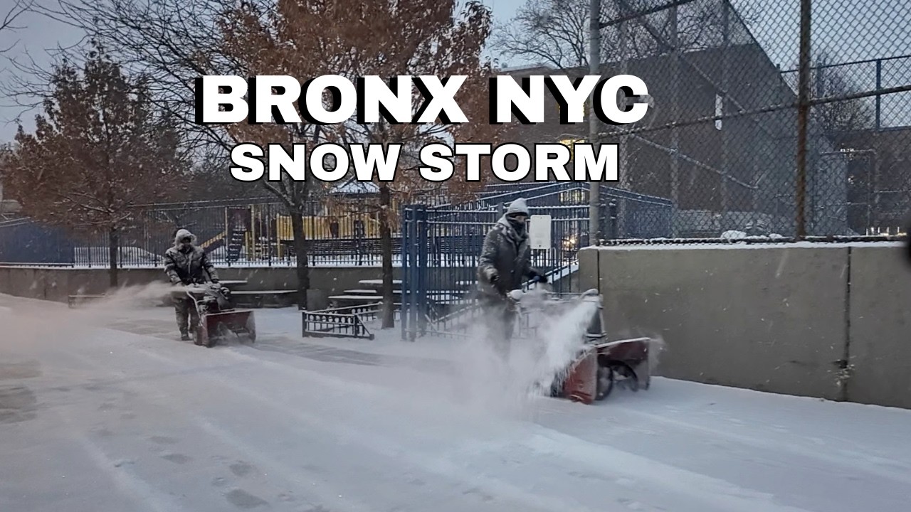 Winter Snowstorm | NYC