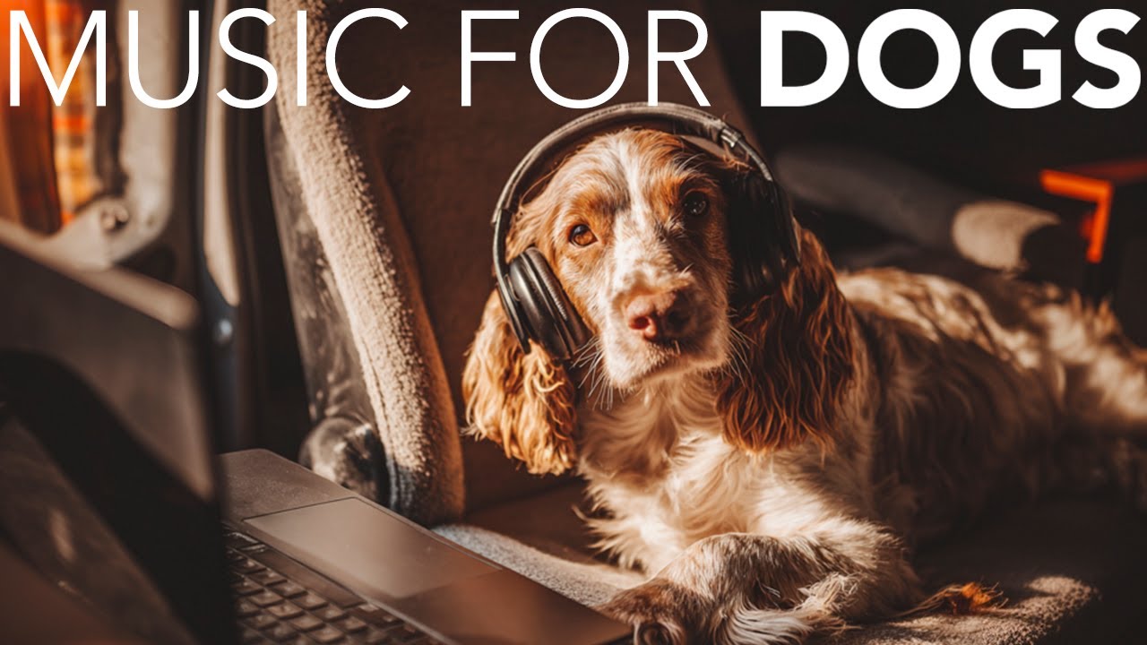 10 HOURS of Dog Relaxing Music 💖🦮 Soft Music for Dogs: Deep Relaxation, Serenity, and Sleep