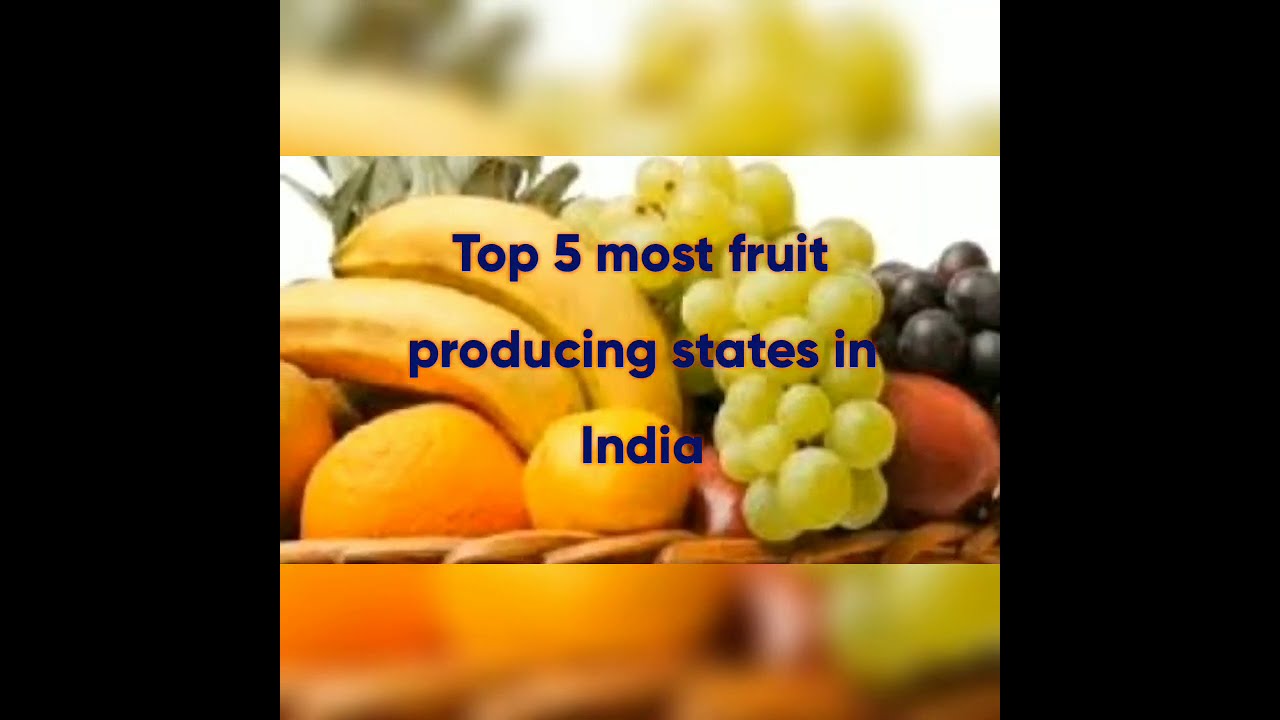 Top 5 most fruit producing states in India 🇮🇳