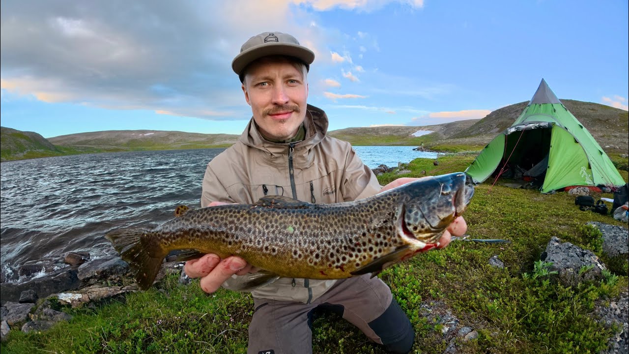 Norja Finnmark rautu ja taimen kalastusreissu 7/2025
