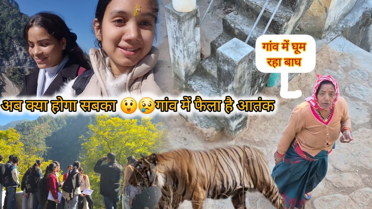 गांव में आया बाघ 😲😲🥰🙏😅 #most popular 