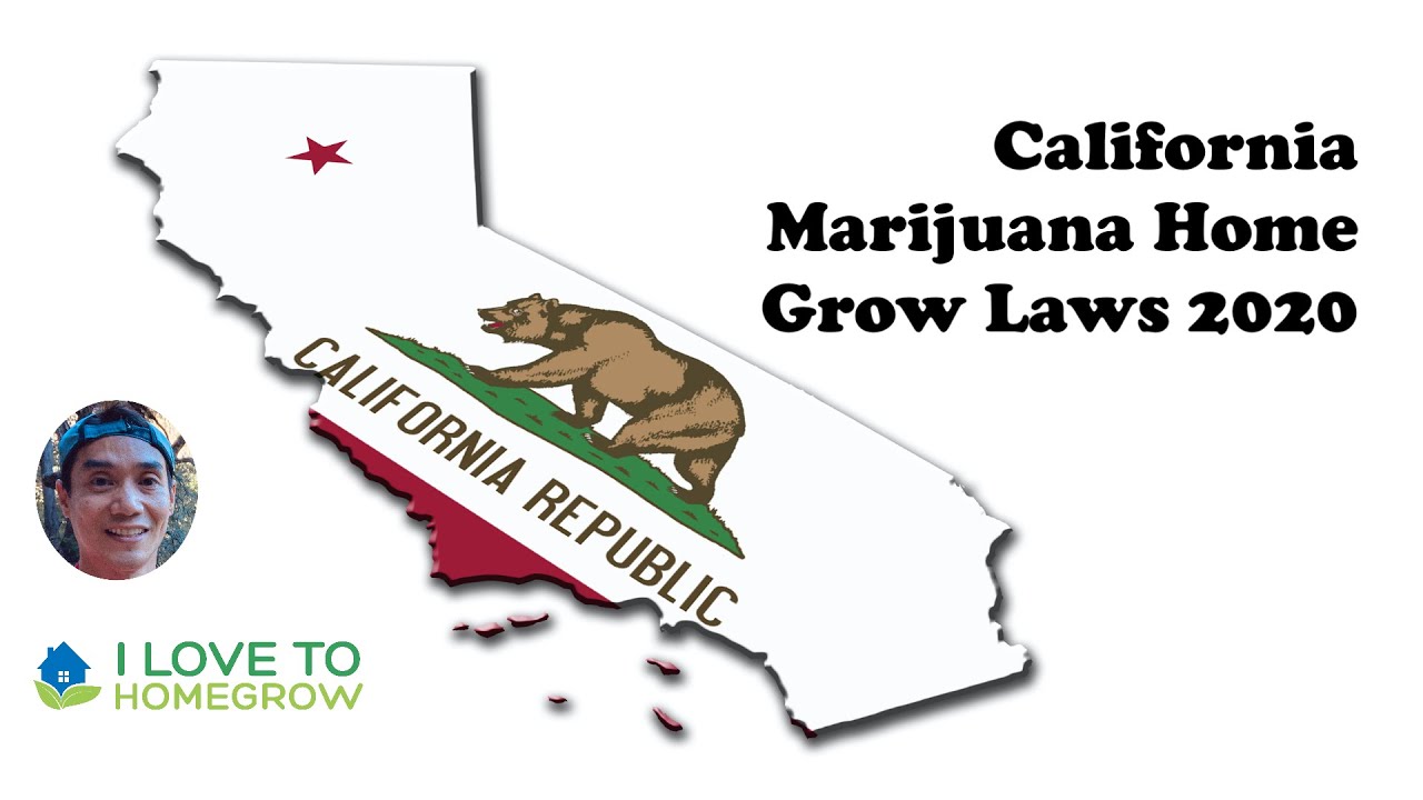California Marijuana Home Cultivation and Growing Laws 2020