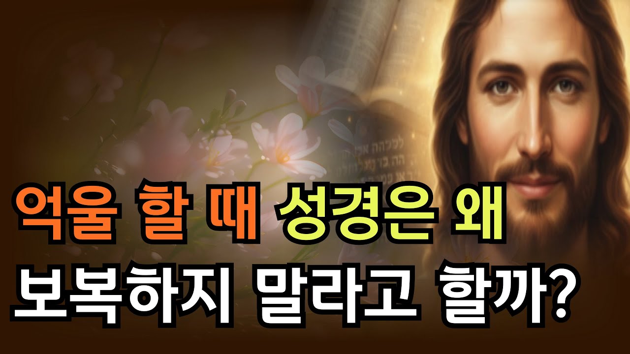억울할 때, 성경은 왜 보복하지 말라 할까? #말씀묵상 #성경통독 #기독교유튜브 #하나님의위로