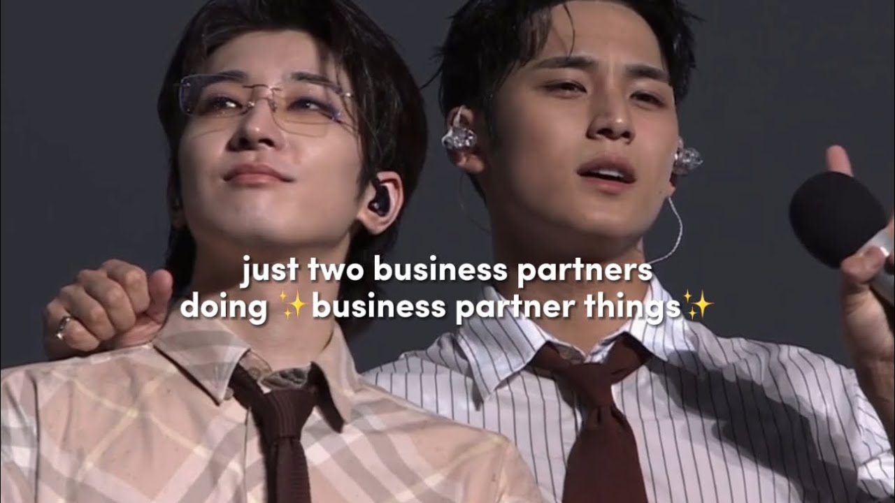 mingyu and wonwoo being ✨business partners✨ for one minute straight | concert edition