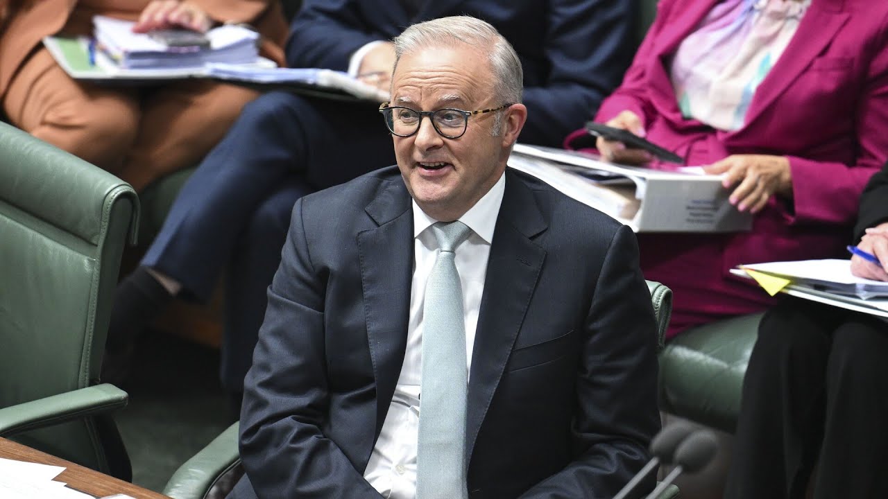 ‘Weak and waffly’ Albanese ‘petrified’ of political action from Muslim community