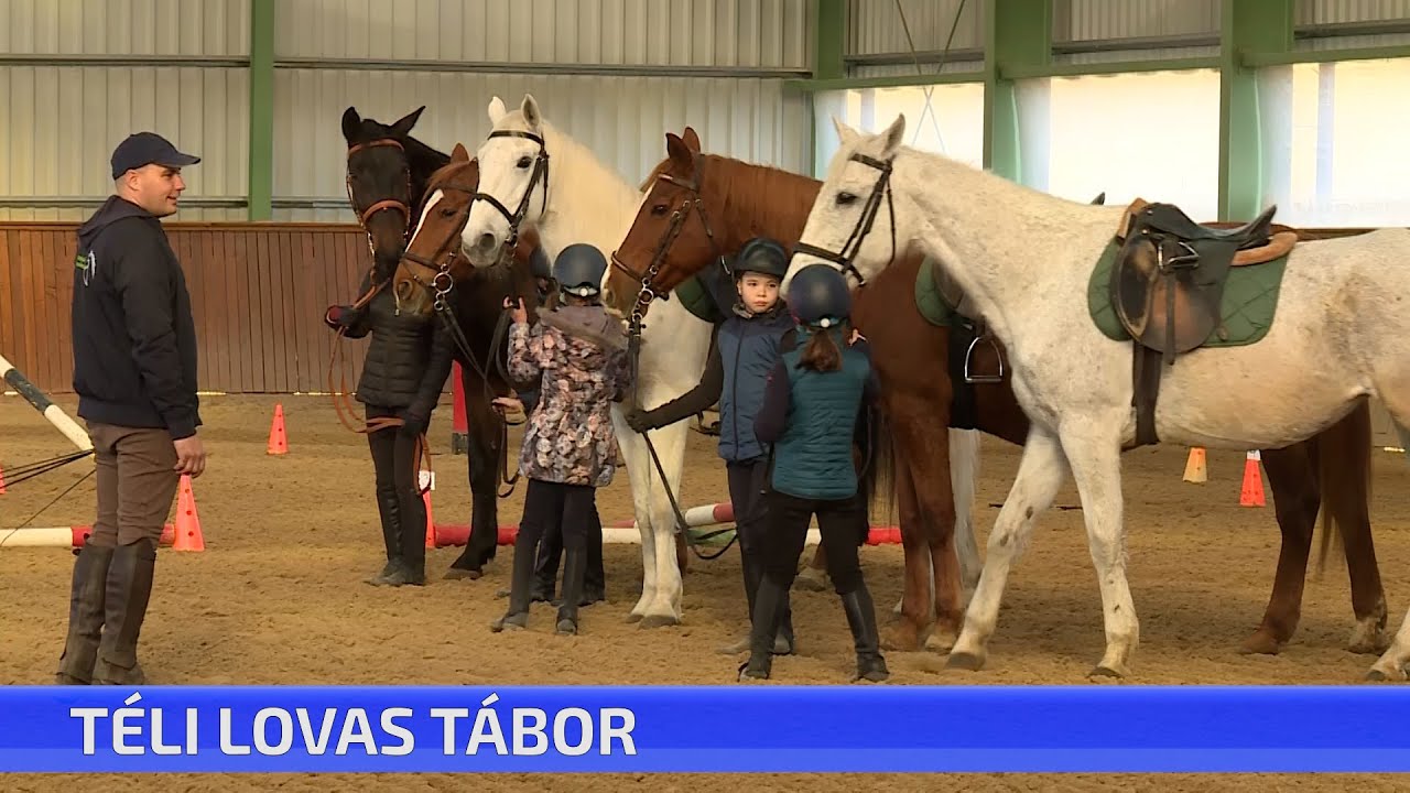 Téli lovas tábor