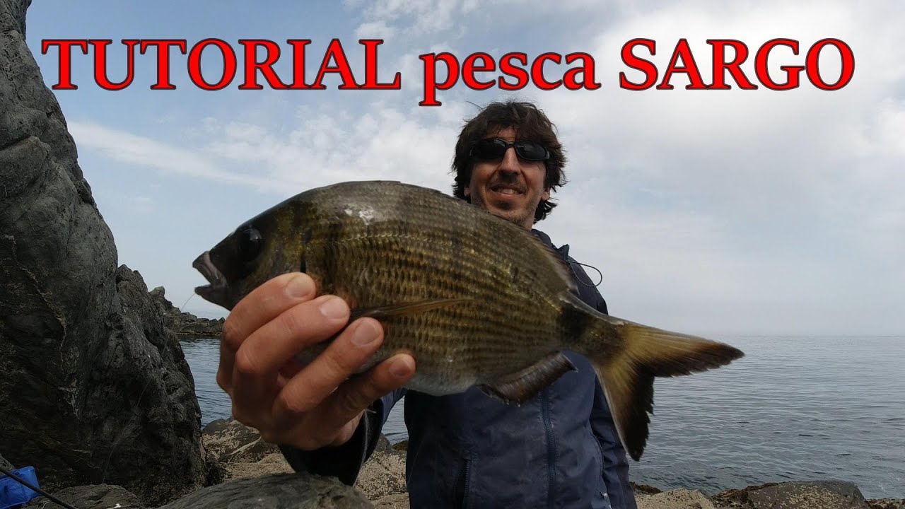 #21 TUTORIAL pesca del SARGO en mar calma. Todos los SECRETOS desvelados.