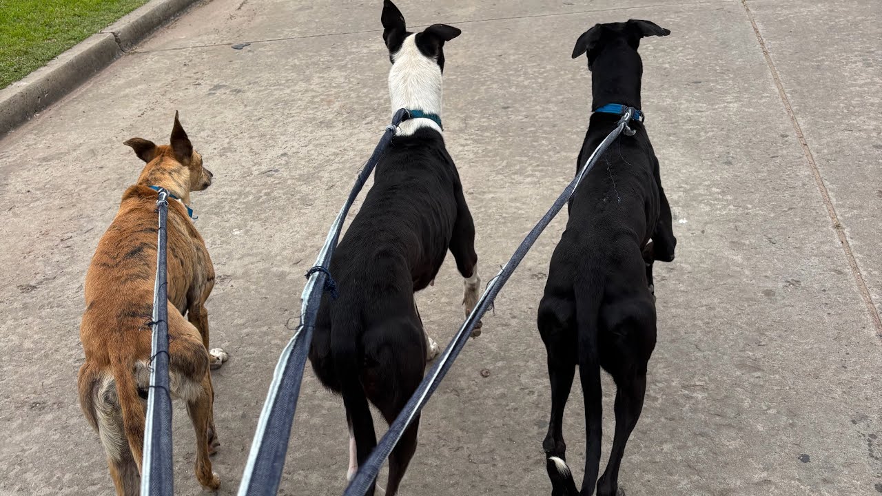Recuerdo del invierno 2025