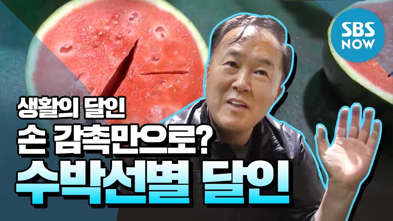 [생활의달인] Ep.673 손 감촉만으로 선별 가능? '수박 선별 달인' / 'Little Big Masters' Review