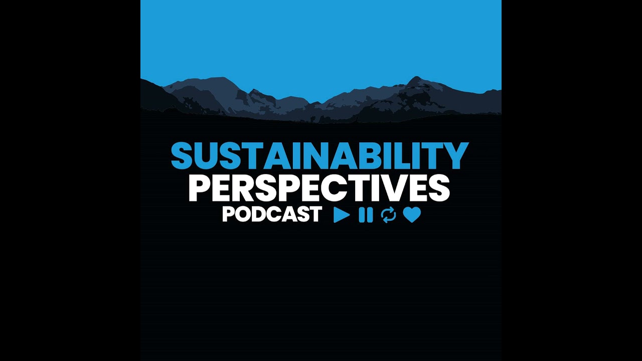 Sustainability Perspectives: Fibre-based packaging and circularity