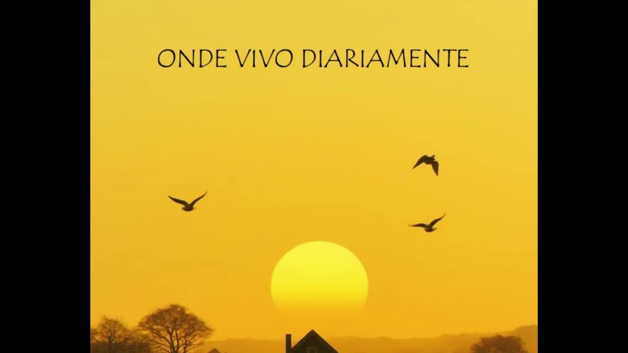 ONDE VIVO DIARIAMENTE
