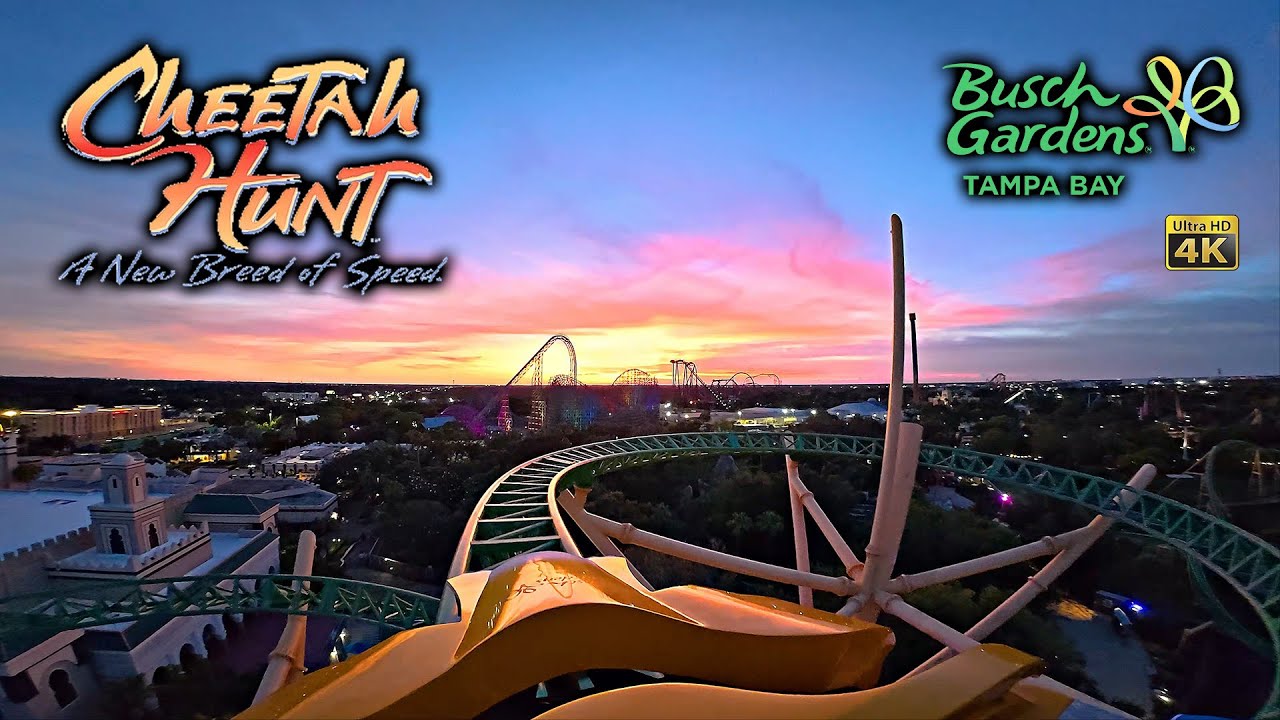 Cheetah Hunt Roller Coaster On Ride Front Seat at Sunset 4K POV Busch Gardens Tampa 2025 07 08