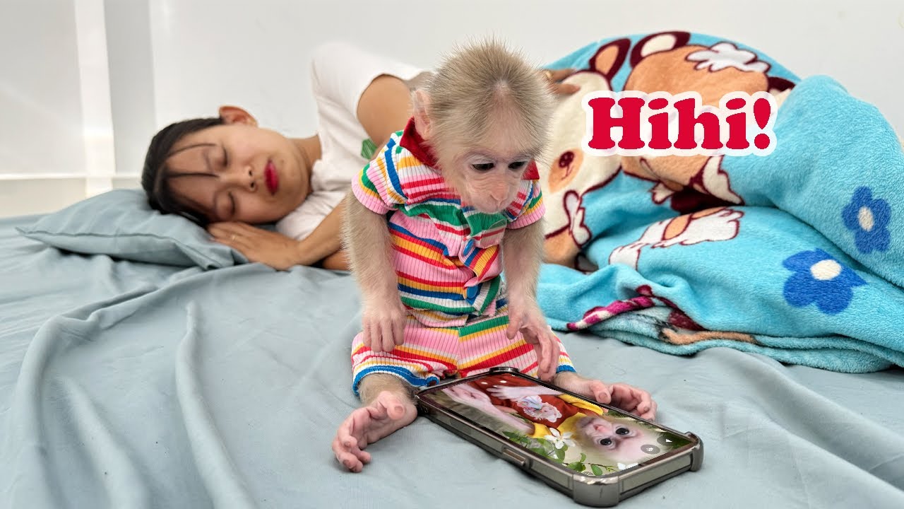 Adorable moment: Lucky sneaks a look at his phone while his mom is sleeping