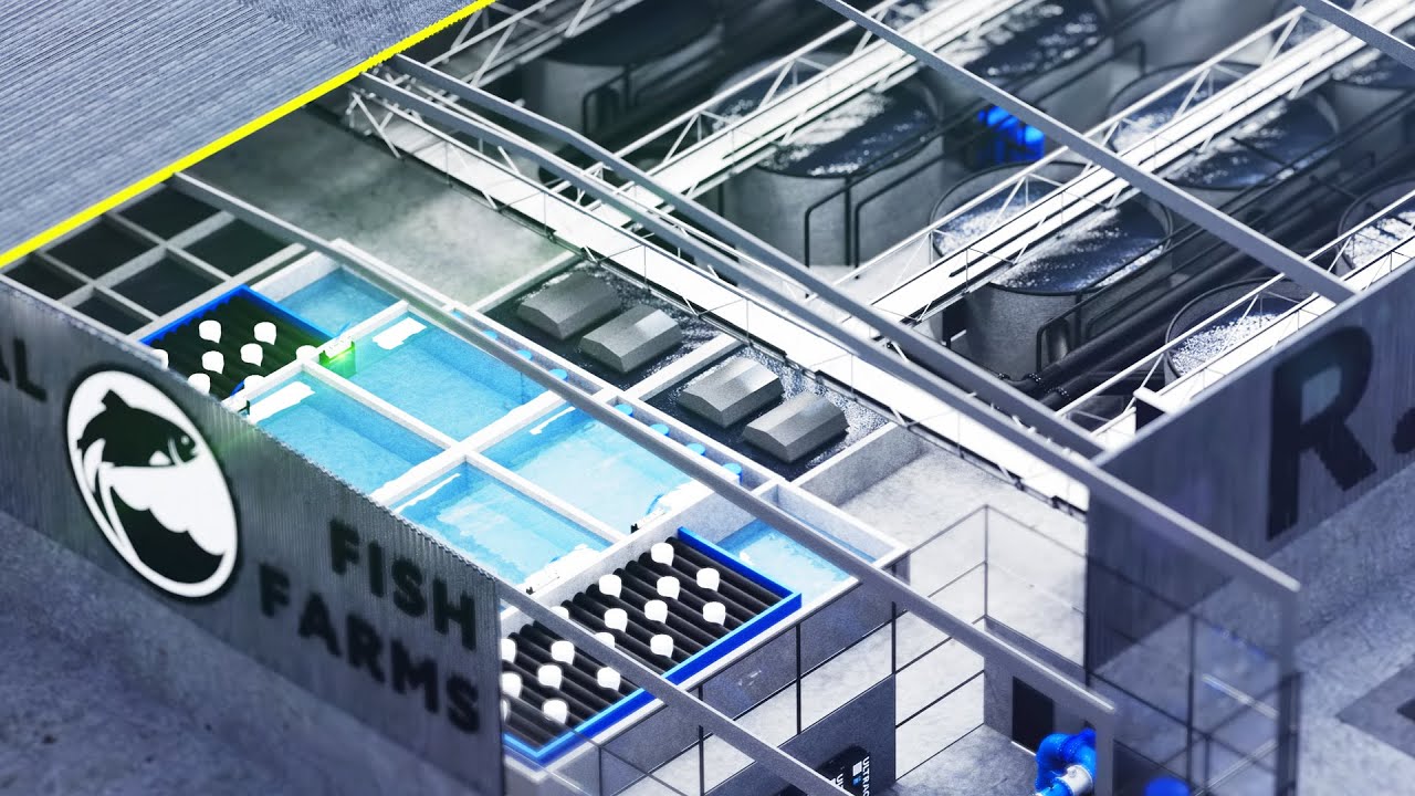 Recirculating Aquaculture Systems (RAS) and UV Disinfection