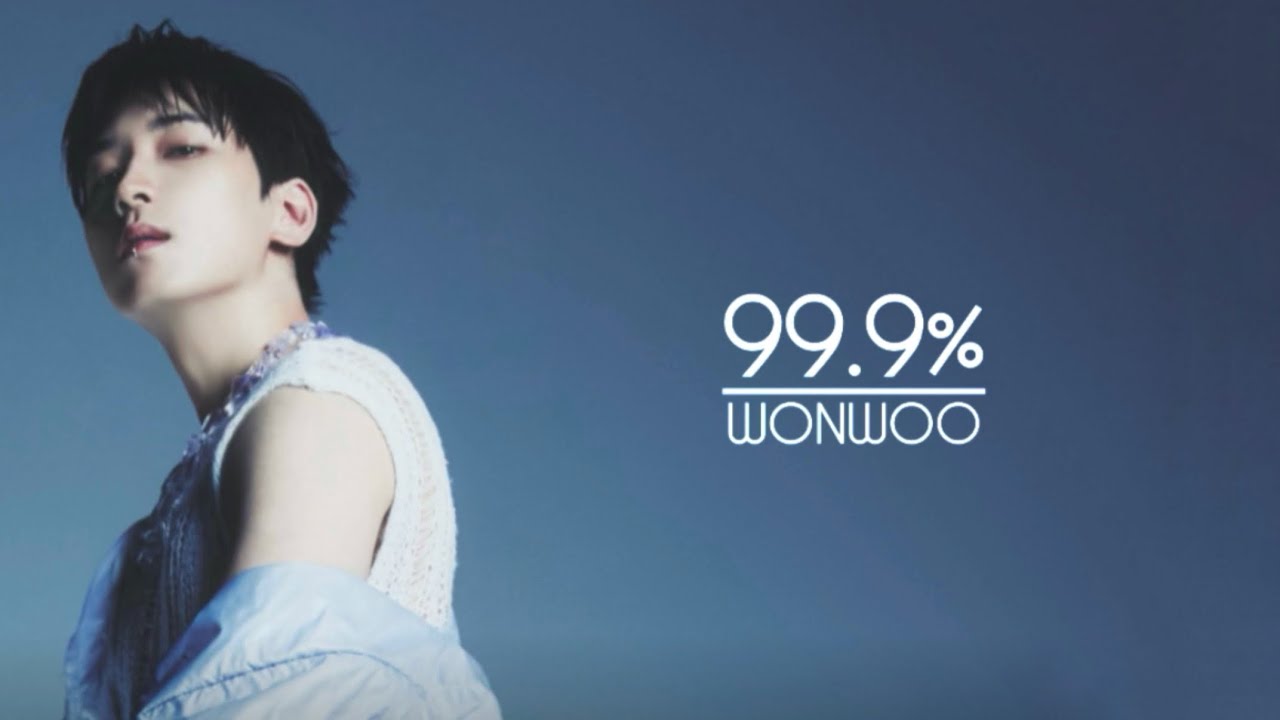 【和訳】WONWOO (SEVENTEEN) - 99.9%