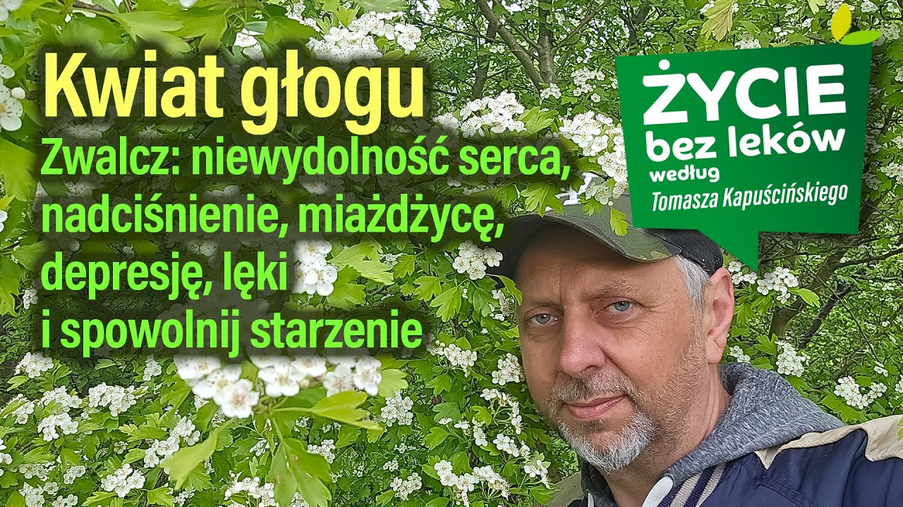 Kwiat głogu - uniknij zawału! Totalne wsparcie serca po 40. roku życia