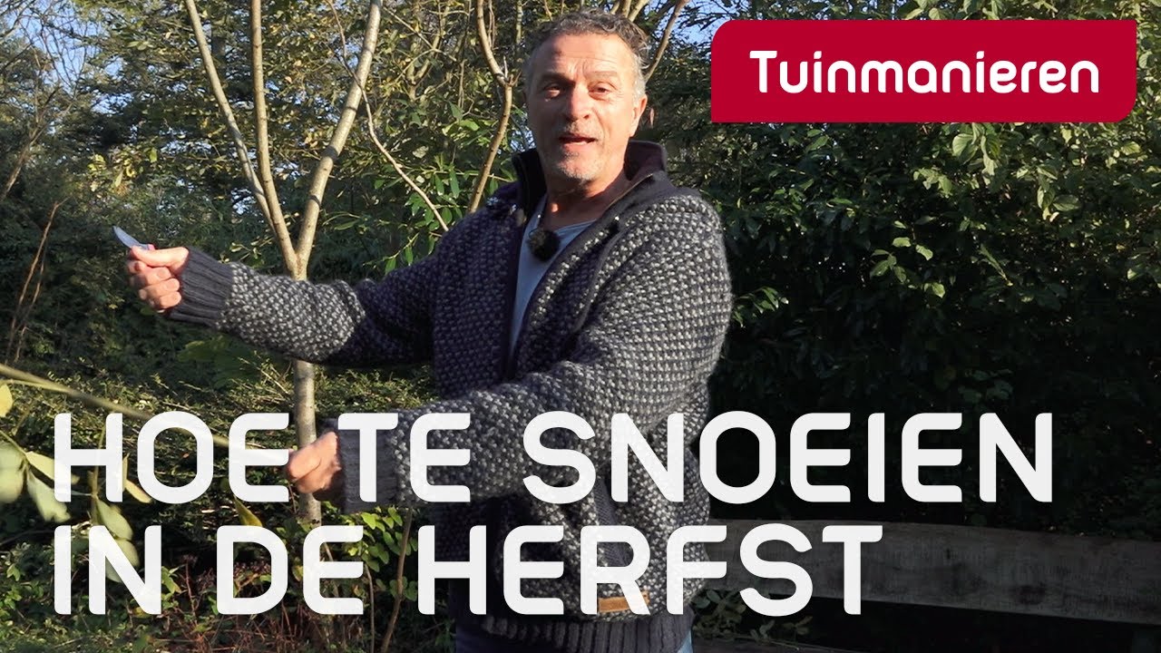 Snoeien in de herfst en winter, hoe doe je dat? | Snoeien | Tuinmanieren