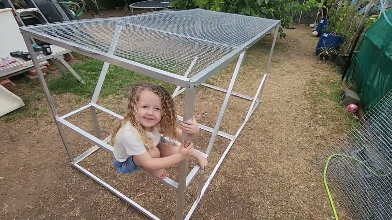 Avairy build + Transfee #pov #parrot #4k #pets #birds #aviculture #diy #build #transfer #subscribe 