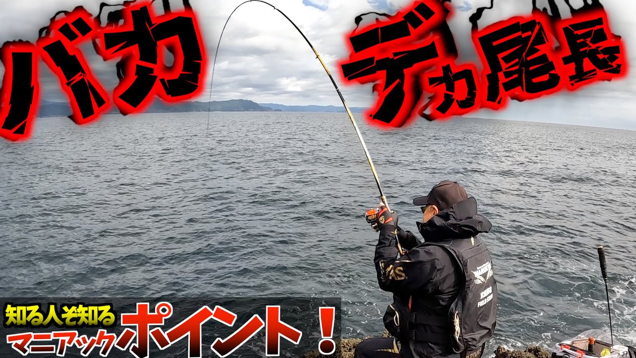 【尾長グレ・マニアックポイント】尾長祭り継続中の尾鷲・立神周辺！知る人ぞ知るマニアックポイント！！