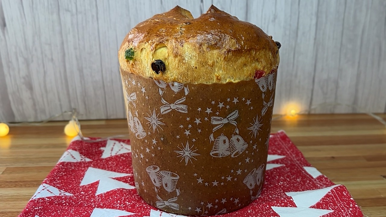 PAN DULCE Tradicional: Como hacer Pan Dulce  PASO a PASO
