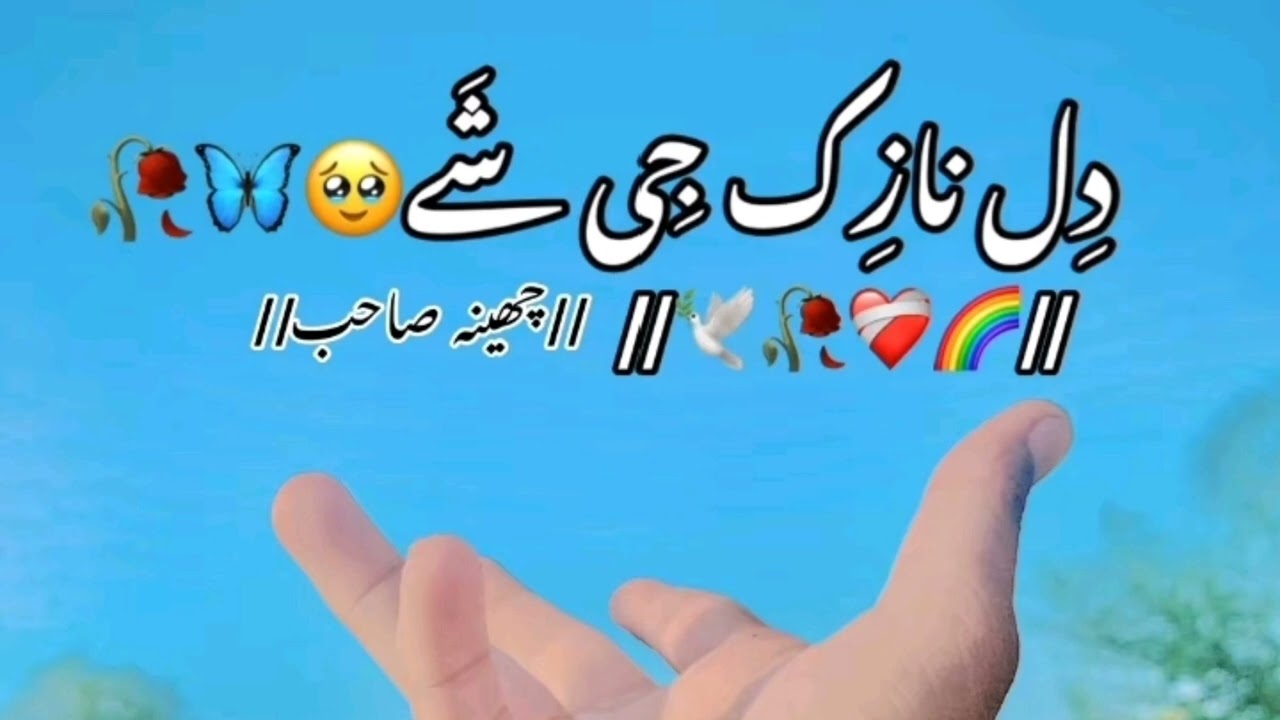 Dil Nazuk Ji Shaye | Slowed & Reverb By | Ahmed Nawaz Cheena