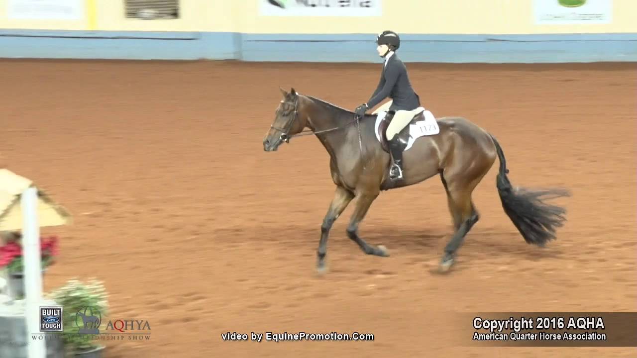A Judges Perspective: 2016 AQHYA Hunter Hack World Champion