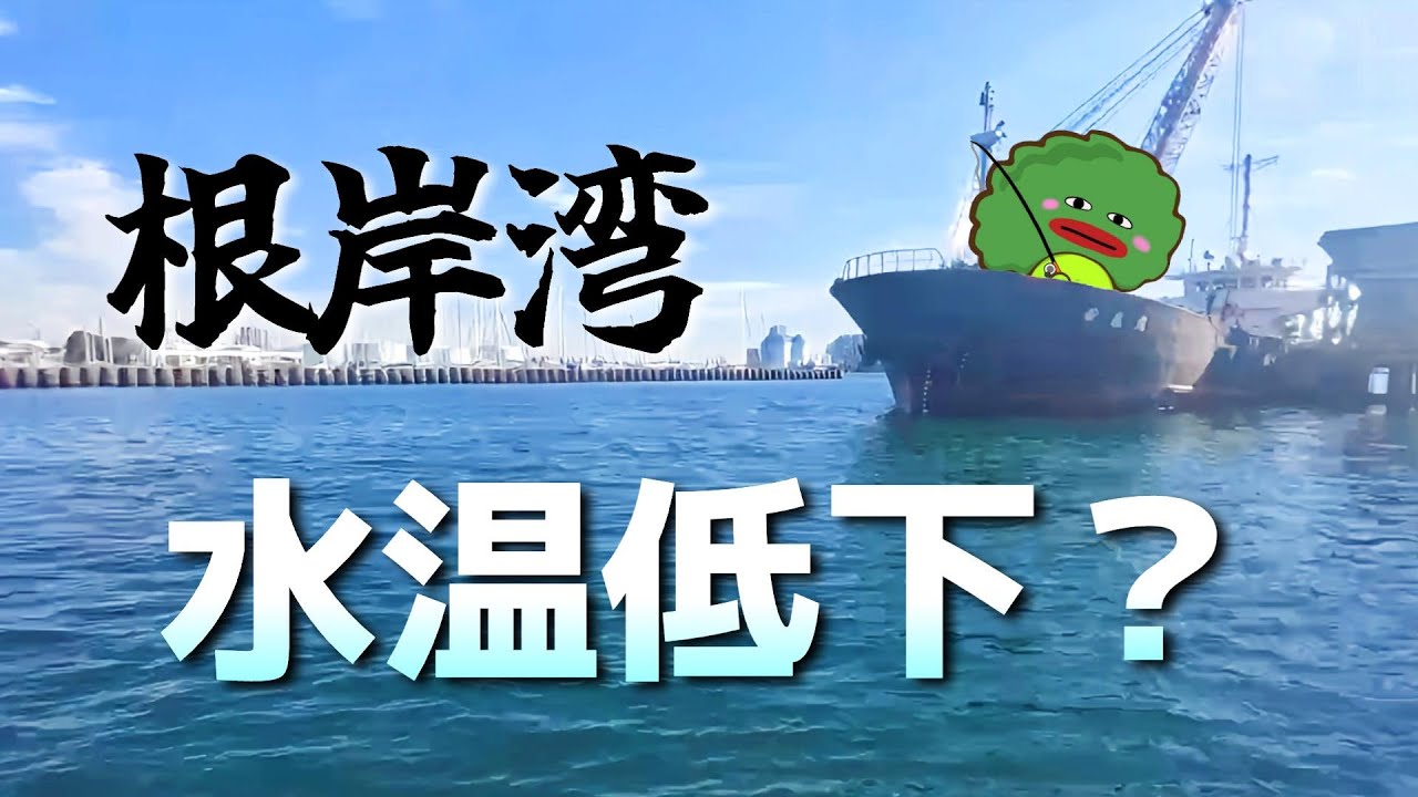 【根岸湾】足元調査！