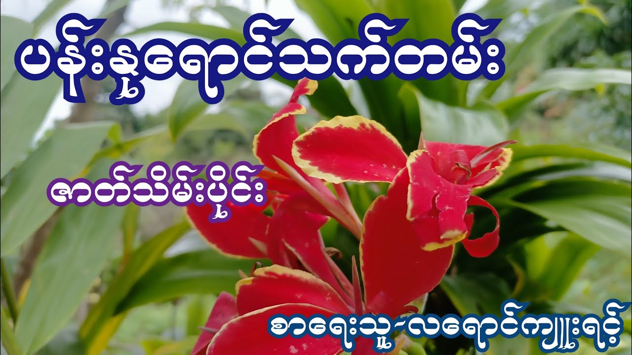 ပန်းနုရောင်သက်တမ်း ( ဇာတ်သိမ်းပိုင်း ) စာရေးသူ-လရောင်ကျူးရင့်