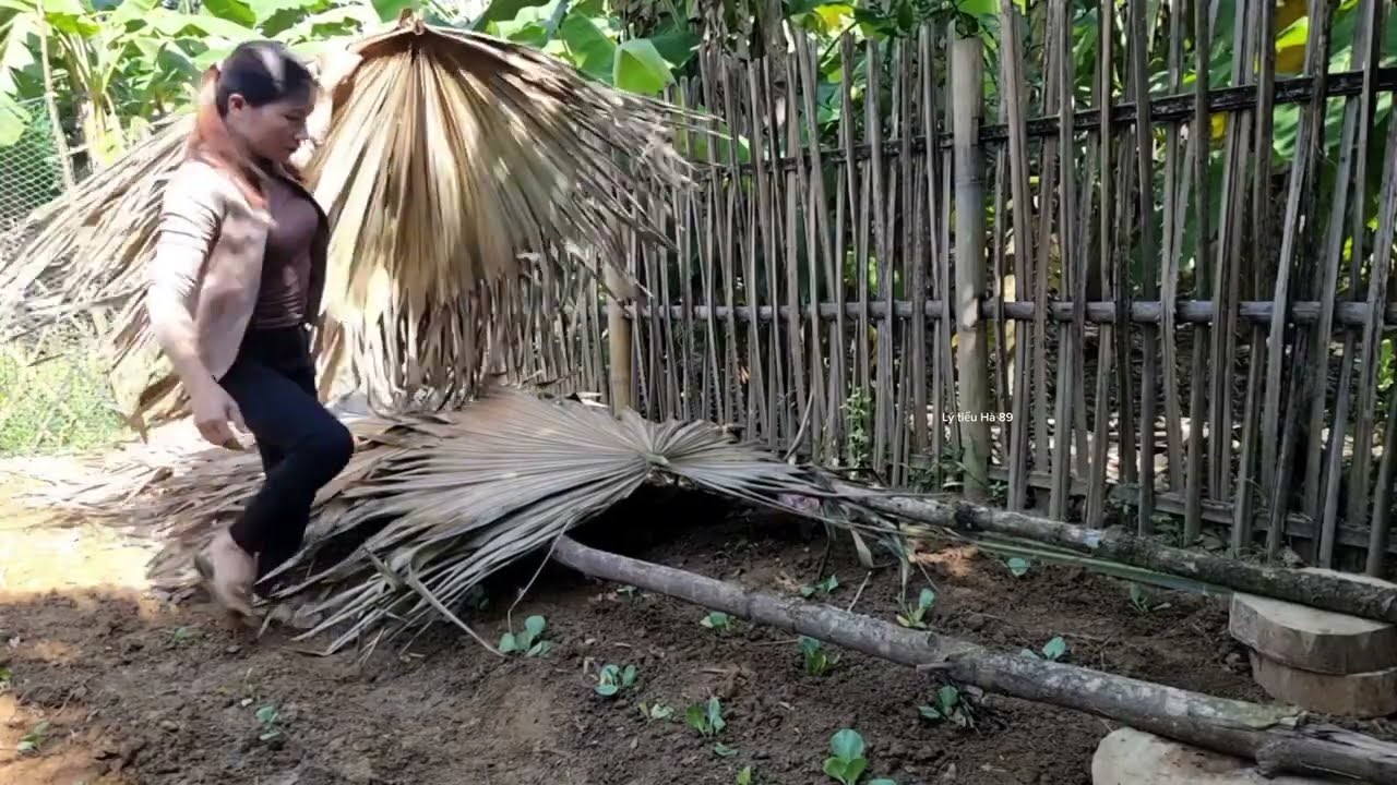 Full video : 25 Days of a Poor Girl Living on a Farm and Build a Life with a Man in a Simple House
