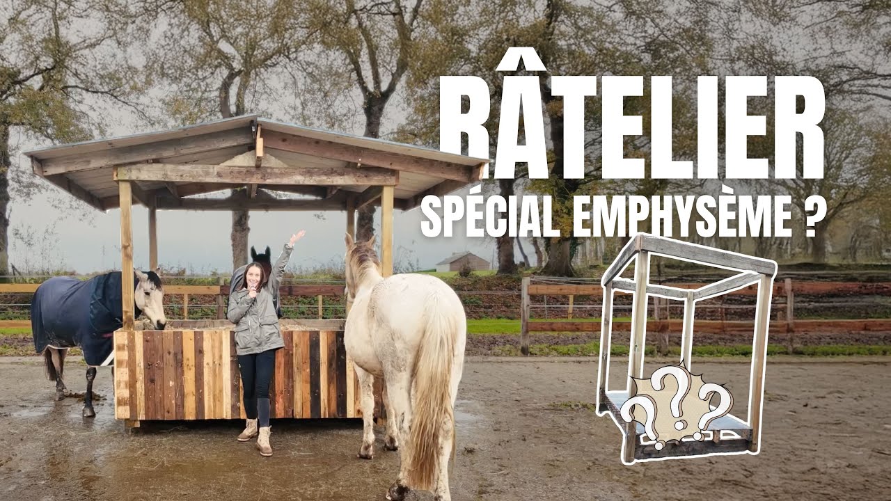 [TUTO] Construction d'un râtelier pour chevaux emphysémateux