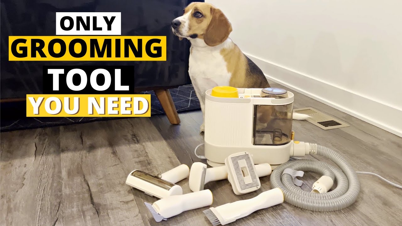 Transform Dog Grooming with PalFur: The Ultimate Guide