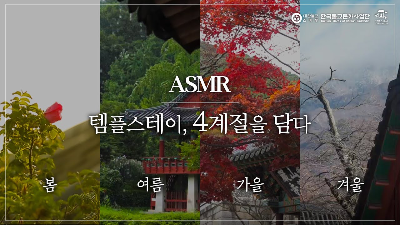 [ASMR] 사계절을 오롯이 담은 365일 템플스테이 ASMR 1시간