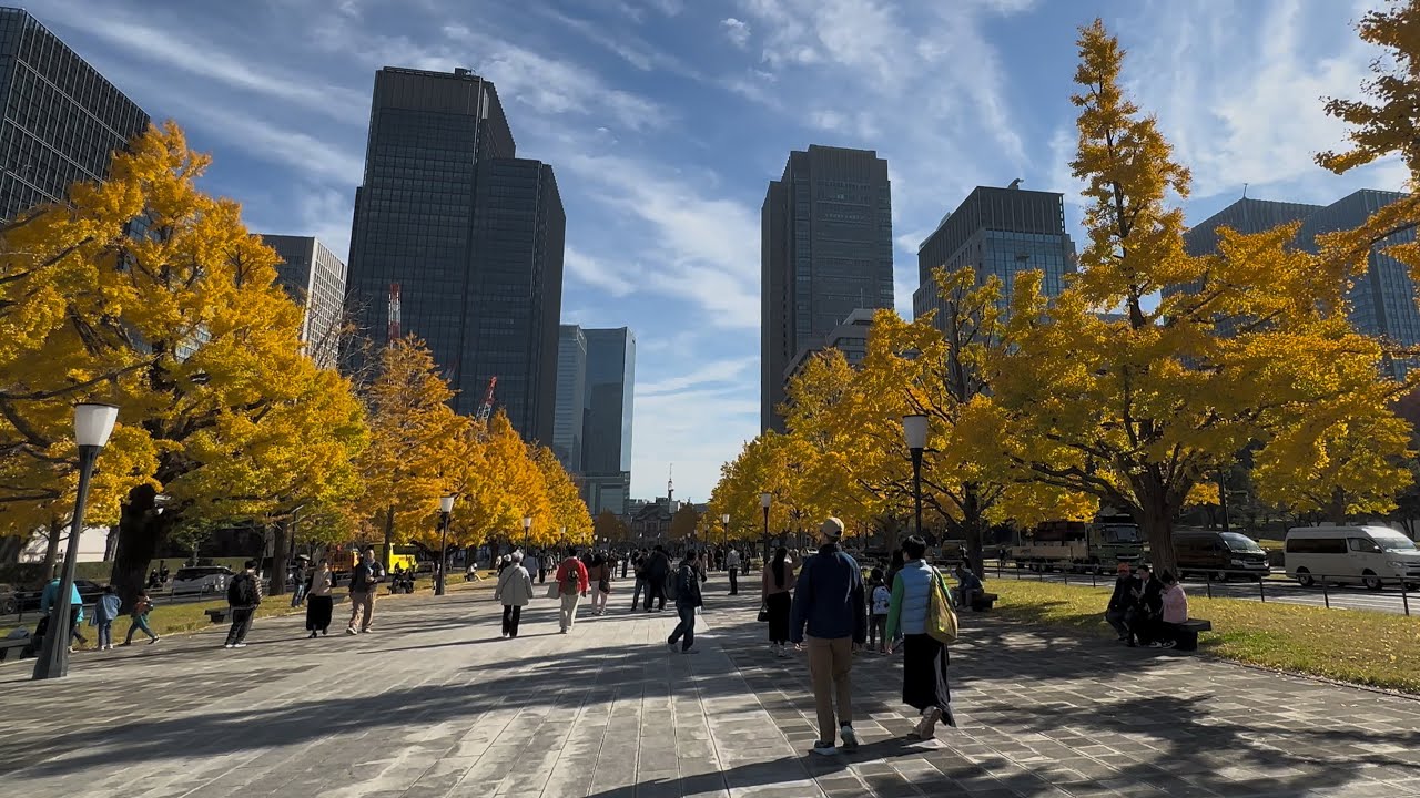 Japan Walk in National Diet BuildingTokyo (Kokkai-gijido-mae Station to Tokyo Station)