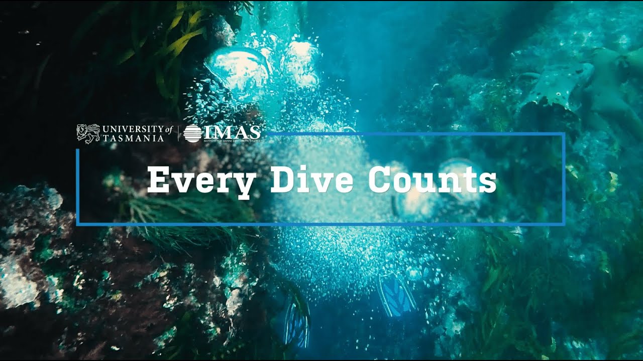 Every Dive Counts