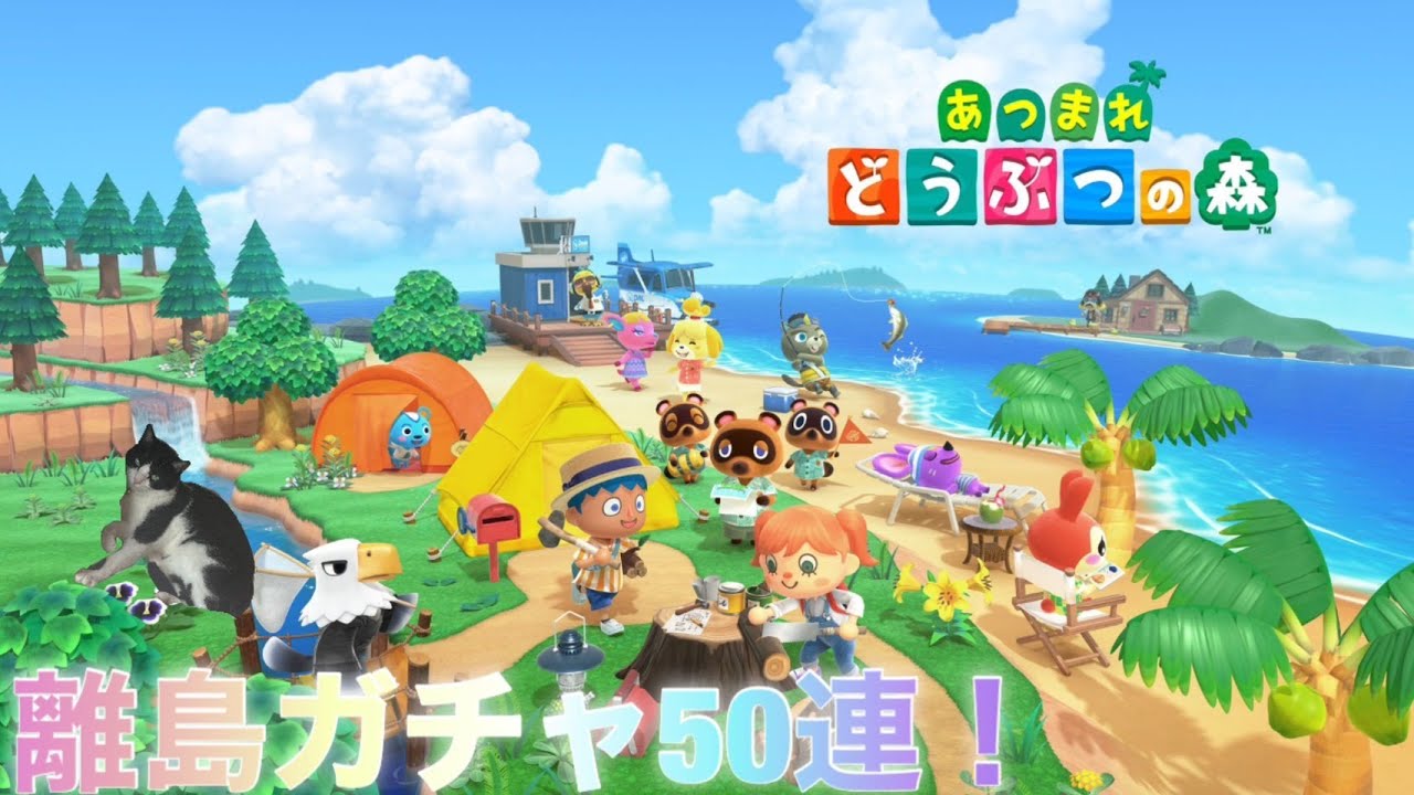【あつ森】かわいい子をお迎えしたいので離島ガチャします#あつまれどうぶつの森 ＃shorts